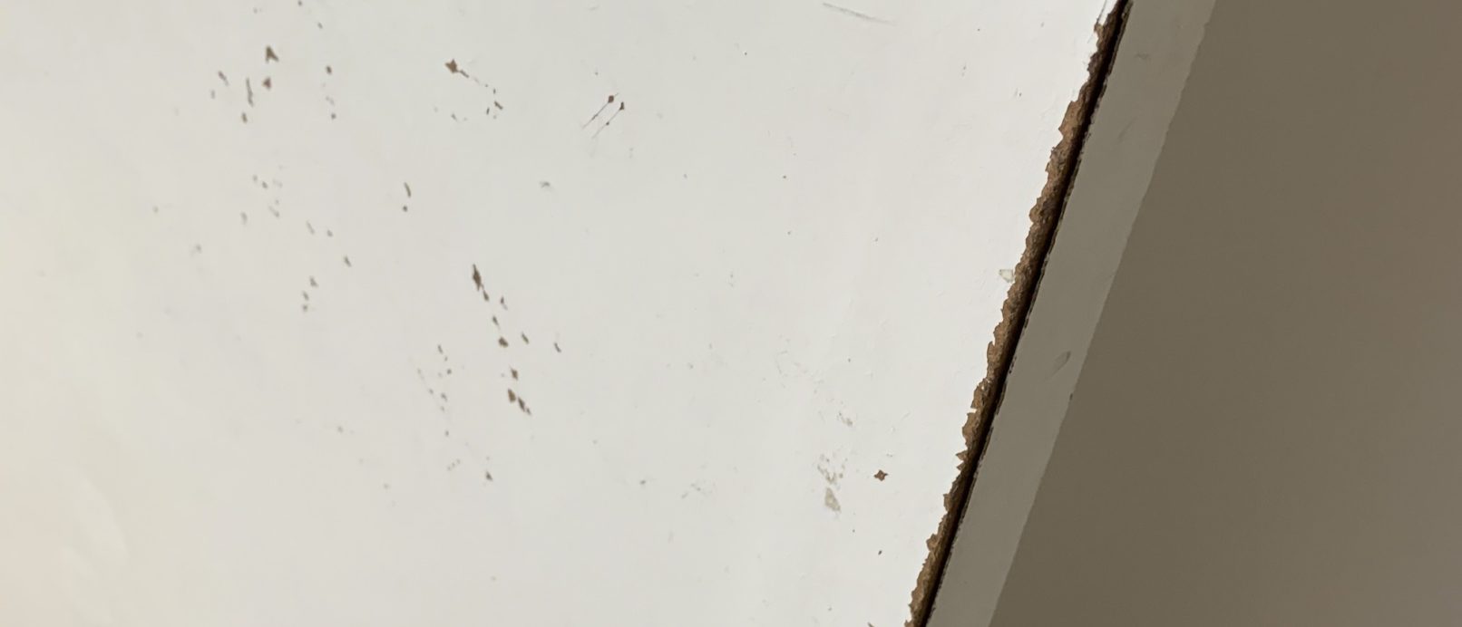 Müll verwandeln mit ebay Kleinanzeigen - die dinge